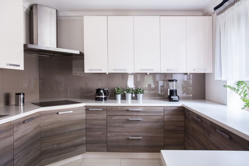 Modern Kitchen Cabinets